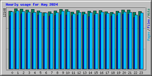 Hourly usage for May 2024