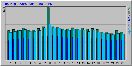Hourly usage for June 2026